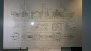 Image copyright of WA Museum